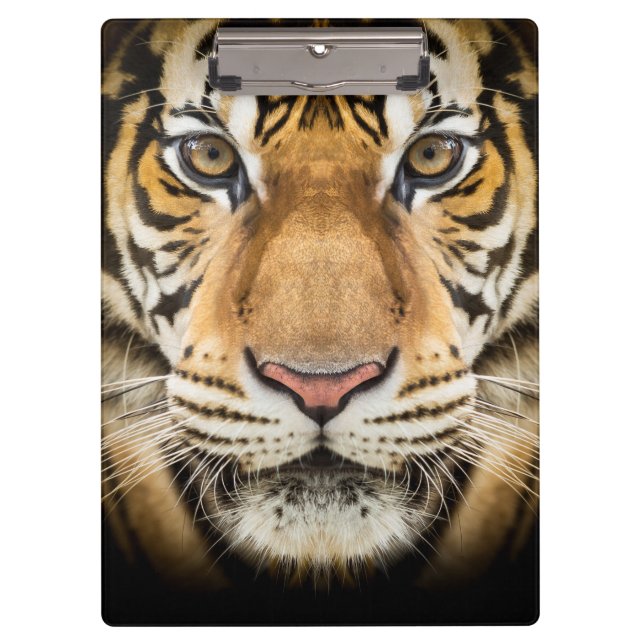 Pranchetas Tigre (Frente)