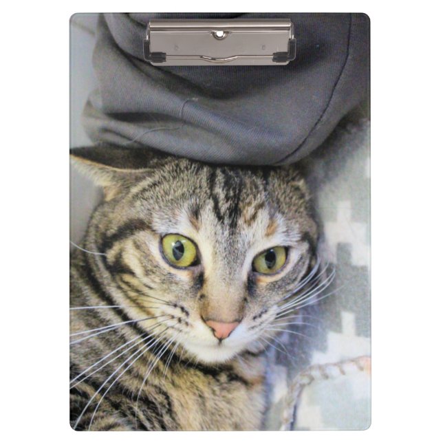 Pranchetas Tigre (Frente)