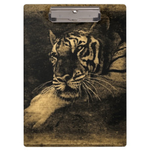 Pranchetas Tigre