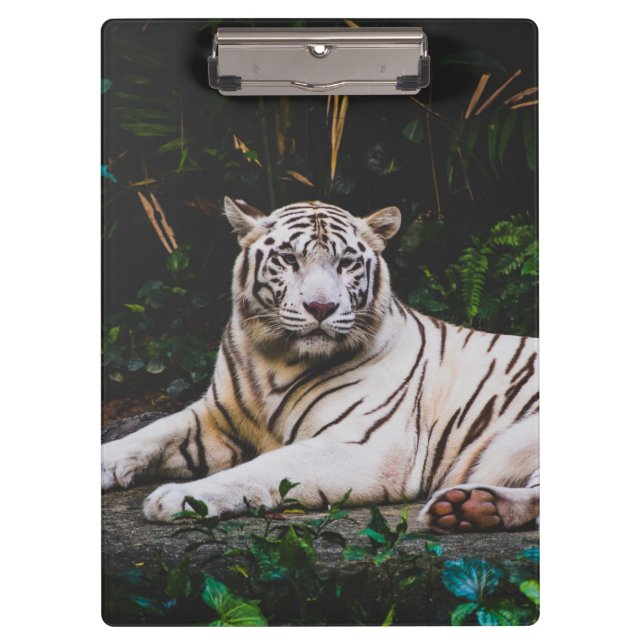Pranchetas Tigre (Frente)