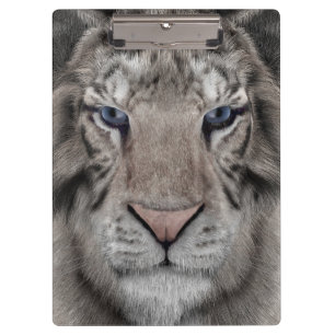 Pranchetas Tigre Branco