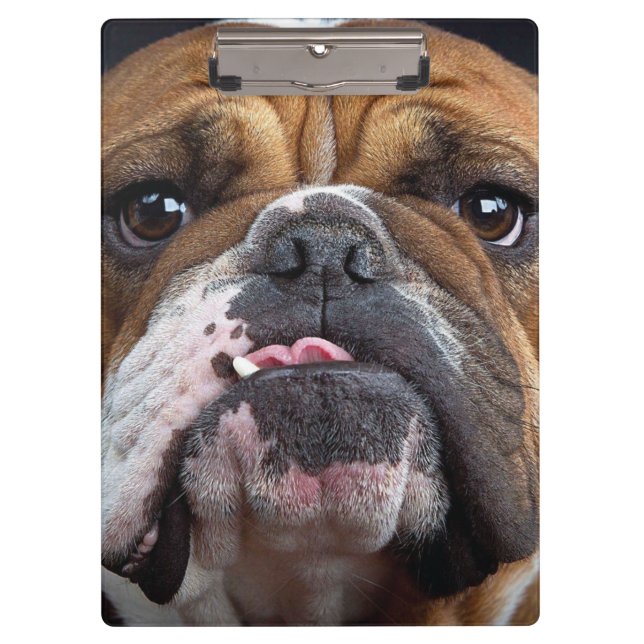 Pranchetas Travesseiro Decorativo Bulldog Inglês (Frente)