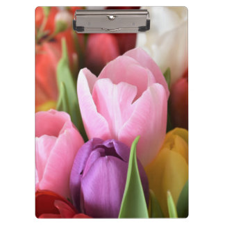 Pranchetas Tulip