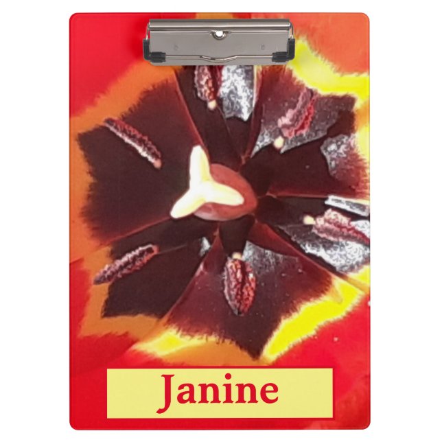 Pranchetas Tulipa Vermelha Escarlate (Frente)