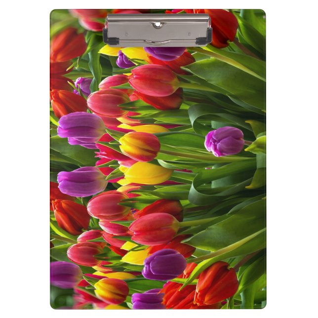 Pranchetas Tulipas Bris (Frente)