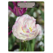 Tulipas cor-de-rosa brilhantes num dia ensolarado