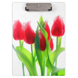 Pranchetas Tulipas Vermelhas Sobre Branco