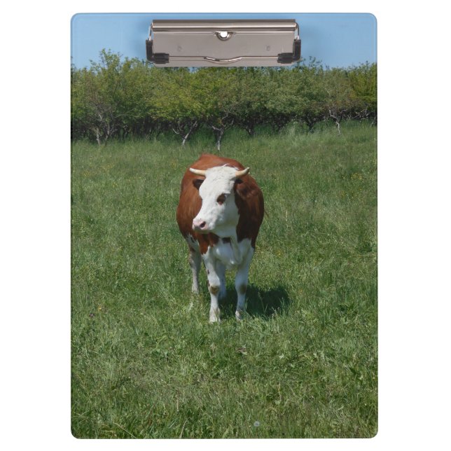 Pranchetas Vaca no pasto (Frente)
