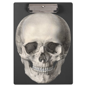 Pranchetas Vintage Anatomia Humana Skull, Esqueleto de Hallow