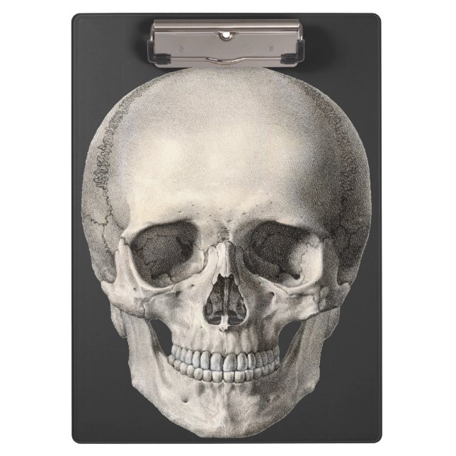 Pranchetas Vintage Anatomia Humana Skull, Esqueleto de Hallow (Frente)