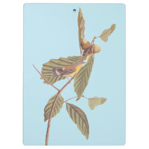 Pranchetas Vintage Audubon Magnolia Warbler Bird