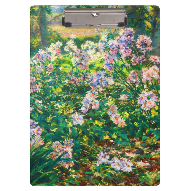 Pranchetas Vintage Flores bonito Ilustração Windflower (Frente)