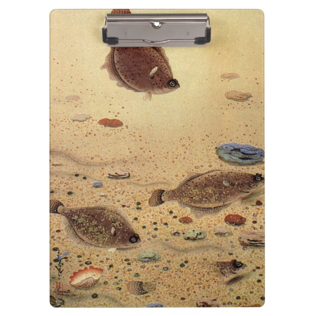 Pranchetas Vintage Flounders, Marine Ocean Life Flat Fish (Frente)