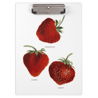 Pranchetas Vintage Strawberry Trio