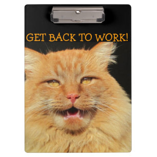 Pranchetas Volte para o Gato Chefe de Trabalho