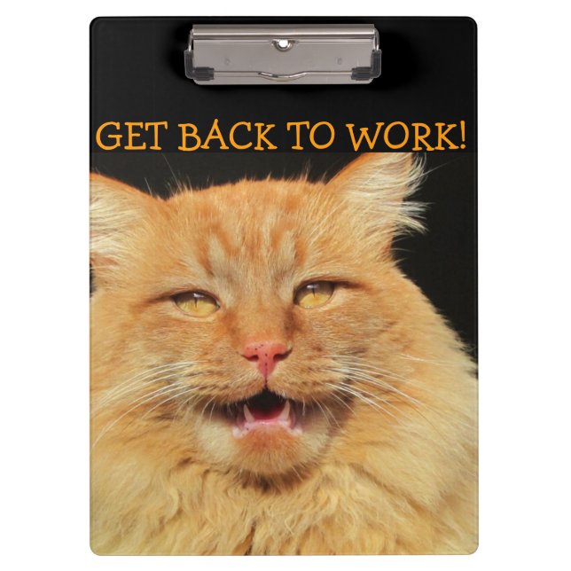 Pranchetas Volte para o Gato Chefe de Trabalho (Frente)