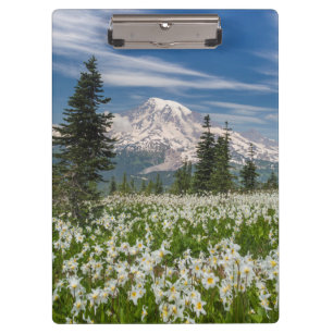 Pranchetas Washington, Parque Nacional Mount Rainier 1