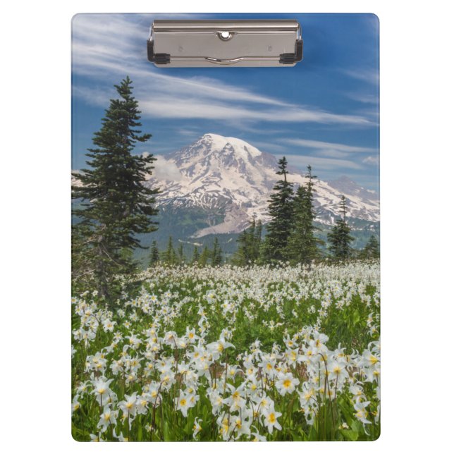 Pranchetas Washington, Parque Nacional Mount Rainier 1 (Frente)