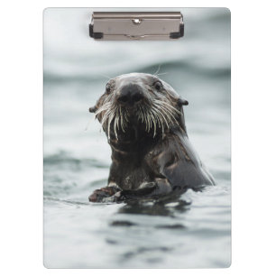 Pranchetas Wise Otter
