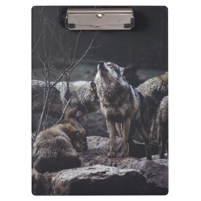 Pranchetas Wolf Pack (Frente)