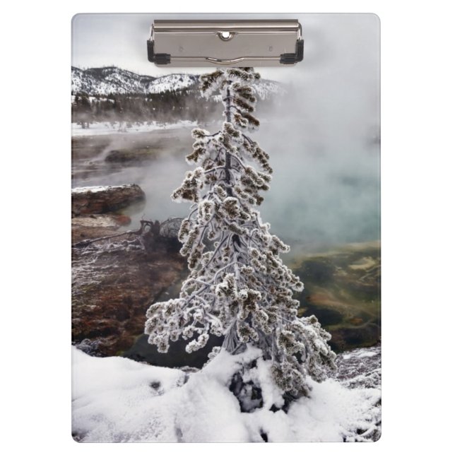 Pranchetas Yellowstone nevado (Frente)