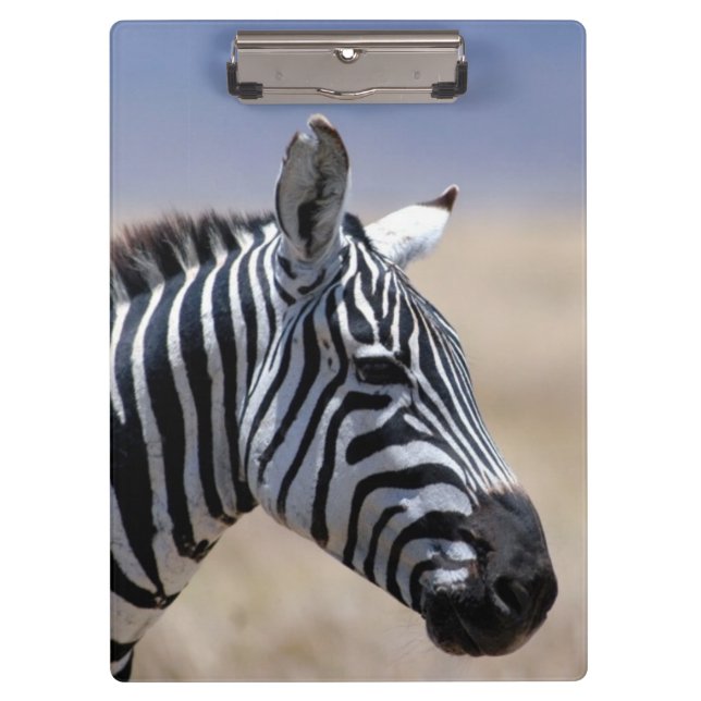 Pranchetas Zebra (Frente)