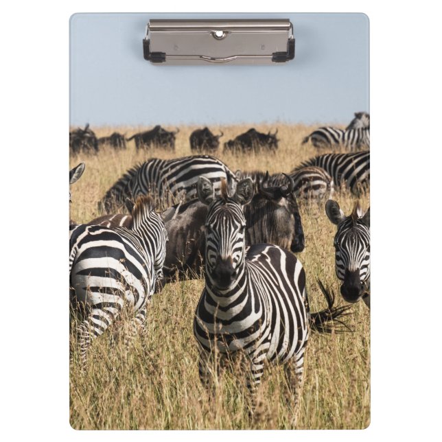 Pranchetas Zebra do Grant (Frente)