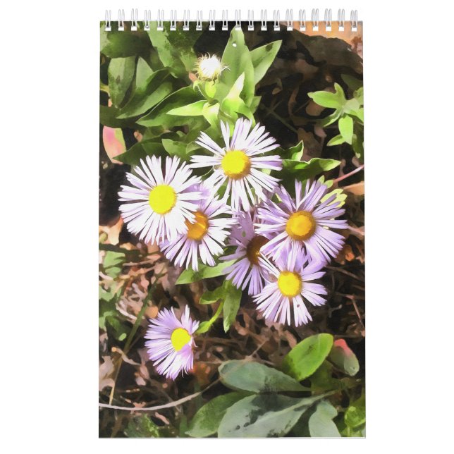 Práticas no Bloom de Calendário de 1 Ano (Capa)