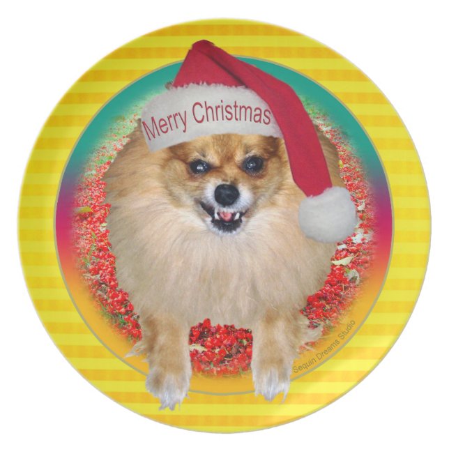 Prato Amarelo de Pomeranian do papai noel do mau da (Frente)