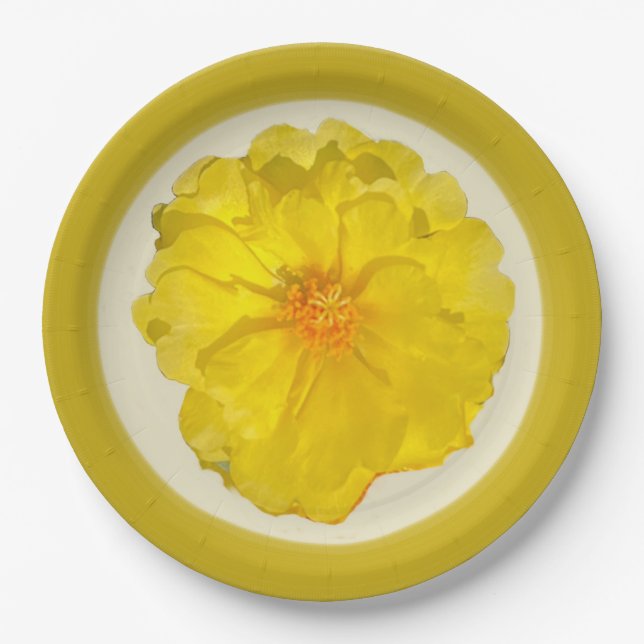 Prato de Papel (Frente)