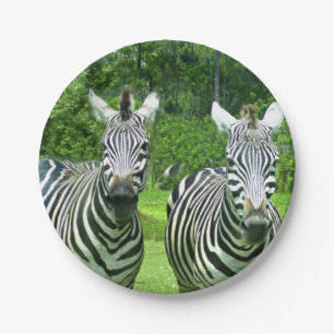 Prato De Papel 2 Zebras Fofos