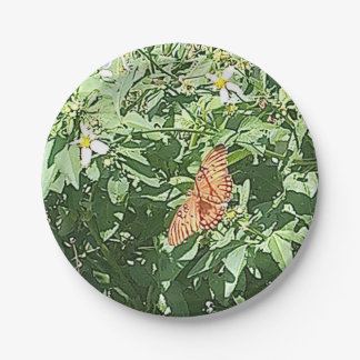 Prato De Papel A Natureza em seu Melhor