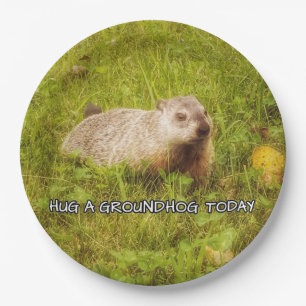 Prato De Papel Abrace placas de um groundhog hoje