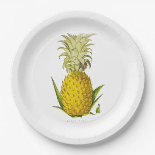 Prato De Papel Acento tropical Pineapple Vintage - Ilustração M