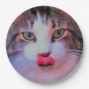 Prato De Papel Adorável Gato Fofo com Língua Rosa Lambendo os Láb