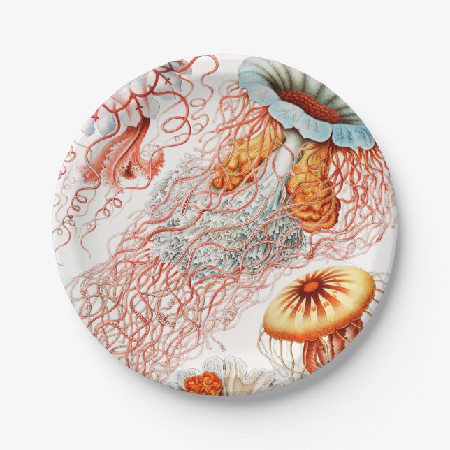 Prato De Papel Água-viva, Desconto de Ernst Haeckel (Frente)
