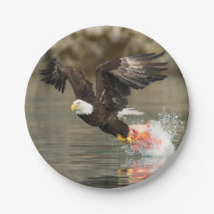 Prato De Papel Águia Balda Explosiva