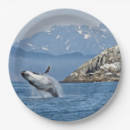 Prato De Papel Alaska Humpback Whale Wildlife Photo