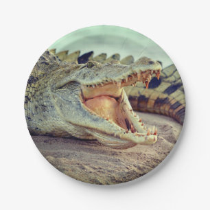 Prato De Papel Alligador