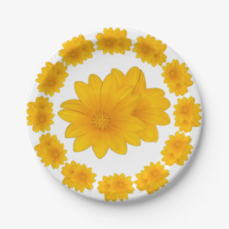 Prato De Papel Amarelo Orgânico,