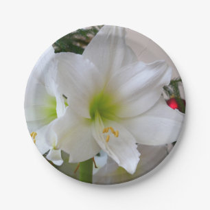 Prato De Papel Amaryllis Branca e Árvore de Natal