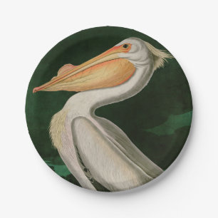 Prato De Papel American White Pelican Birds of America Audubon