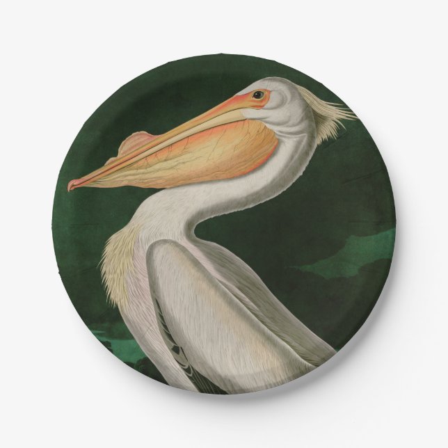 Prato De Papel American White Pelican Birds of America Audubon (Frente)