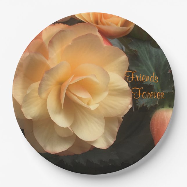 Prato De Papel Amigos para sempre (Frente)