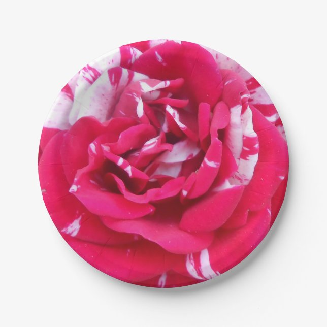 Prato De Papel Anicia (Frente)