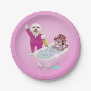 Prato De Papel Animação à Relaxação