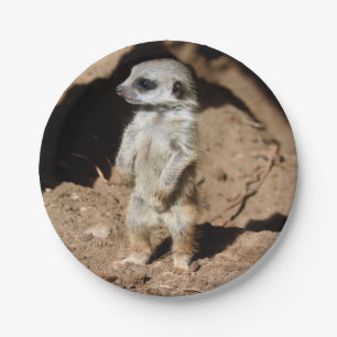Prato De Papel Animal doce bonito maravilhoso de Meerkat do