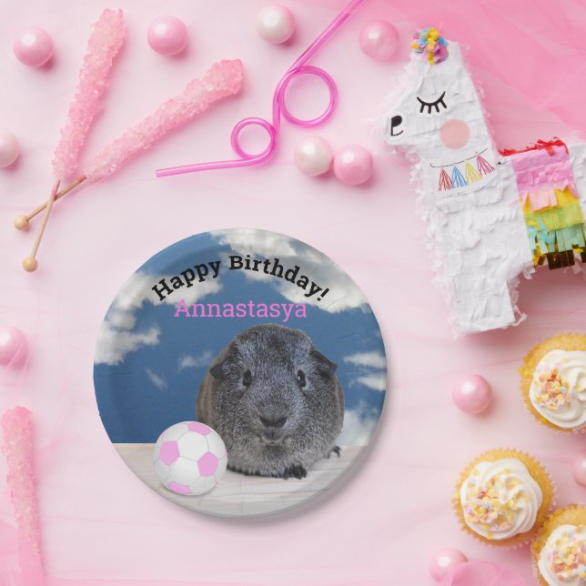 Prato De Papel Aniversário de criança Guiné Pink Ball Personaliza (Festa)