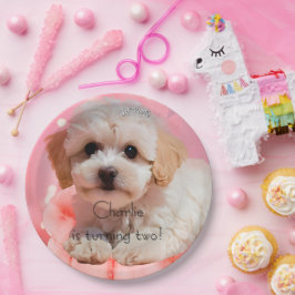 Prato De Papel Aniversário do Cachorro Vamos nos Divertir 