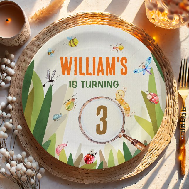 Prato De Papel Aniversário do Inseto Inseto de Aquarela (Criador carregado)